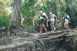 BIB: 
                            <button type="button" onclick="openModal(27743775)" class="btn btn-primary btn-sm float-right btn-popup" data-toggle="modal" data-target=".modal-high-quality">
                        <i class="fas fa-shopping-cart"></i> Add to Cart
                    </button>
                                            <button type="button" onclick="isThisMe(27743775, true)" class="btn btn-success btn-sm float-right btn-popup btn-isme hidden" data-toggle="tooltip" data-placement="bottom" title="นี่คือรูปของคุณใช่ไหม คลิกที่นี่เพื่อเอาเข้าอัลบั้ม">
                        <i class="fas fa-plus"></i> Add to album
                    </button>
                    <button type="button" onclick="isThisMe(27743775, false)" class="btn btn-warning btn-sm float-right btn-popup btn-isnotme hidden">
                        <i class="fas fa-ban"></i> Remove from album
                    </button>